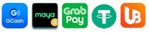 PH646 Casino payment options interface displaying login